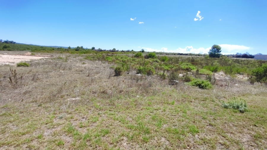 Commercial Property for Sale in Stilbaai Oos Western Cape